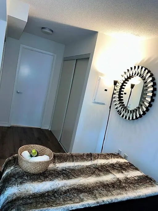 Apartment Luxurious Condo In The Center Of Downtown Toronto